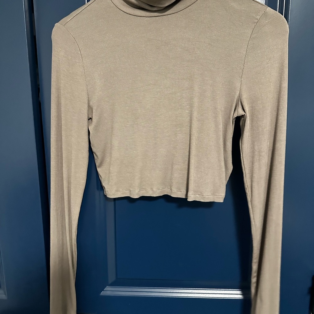 Aritzia tan coloured turtleneck